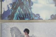 Enya. Collection: Shepherd Moon / And Winter Came...