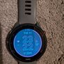 Garmin Forerunner 255 Image 5