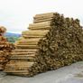 Farm Fencing Stakes - Direct to your Farm Image 2