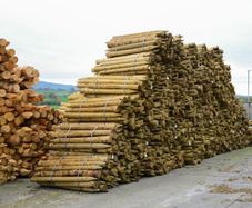 Farm Fencing Stakes - Direct to your Farm