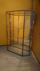 Small Glass Showcase