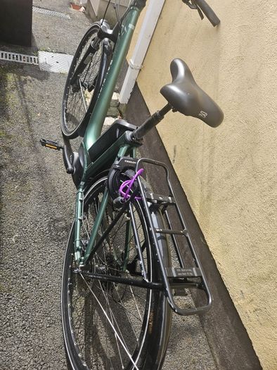 raleigh electric bike