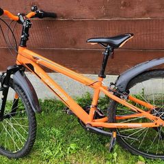 Mounting bike Team MX-24