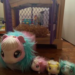 Little live pets rainbow guinea pig family