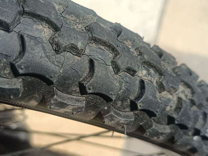 24" inch bike wheel with 7 speed cassette
