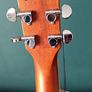 Yamaha FG830 TBS (New) Image 4