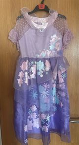 Enchanto Isabella Disney Store Fancy Dress