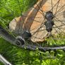 Set of gravel wheels disc brakes CL 12x100mm 12x142mm + tyres specialized pathfinder sport 700x38c Image 6