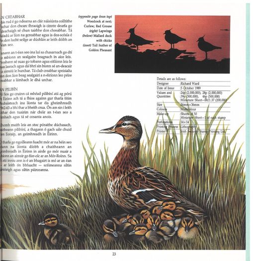 1988/89 Ireland The Irish Stamp Limited Edition Hardback Year Book. Contains all commemorative stamps from June 1988 to June 1989. Included 44 images of conents