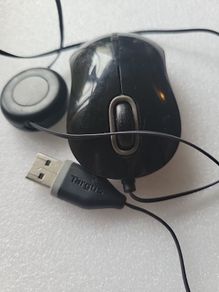 mouse