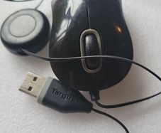 mouse