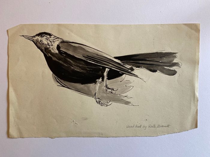 Ruth Brandt sketch