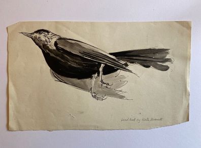 Ruth Brandt sketch