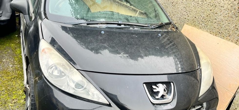 2008 Peugeot 207