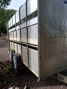 Cattle Horse Trailer Ifor Williams
