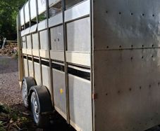 Cattle Horse Trailer Ifor Williams