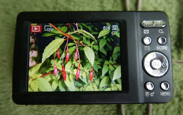 Pentax Optio M900 Digital Camera: 12.1 MP, 5X Zoom - Tested