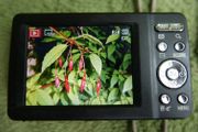 Pentax Optio M900 Digital Camera: 12.1 MP, 5X Zoom - Tested