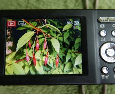 Pentax Optio M900 Digital Camera: 12.1 MP, 5X Zoom - Tested