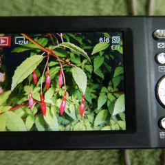 Pentax Optio M900 Digital Camera: 12.1 MP, 5X Zoom - Tested
