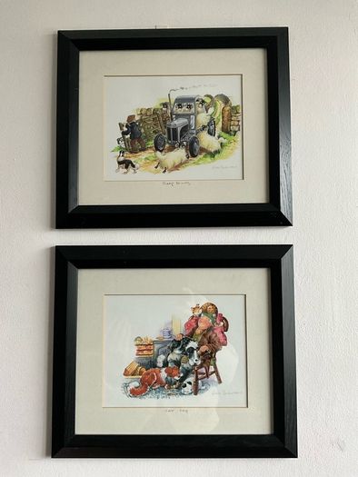 'Cat Nap' & Sheep Driving' by Linda Birkinshaw