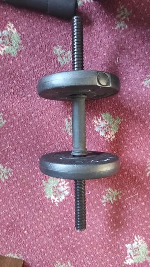 HOME GYM SET 27.5kg Plates + 12kg Kettlebell 40