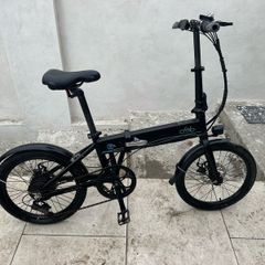 Fiido D4 Electric Bike