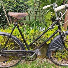 Vintage Raleigh Dawn ladies bike