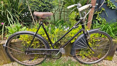 Vintage Raleigh Dawn ladies bike