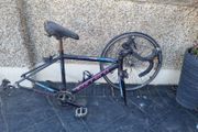 carrera frame