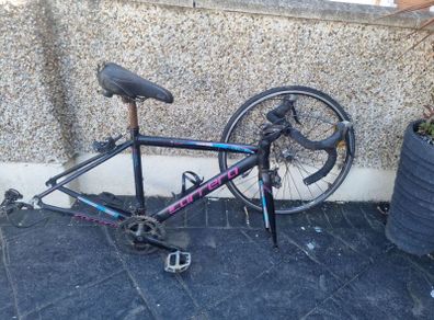 carrera frame