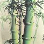 XL bamboo watercolour Image 2