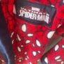 Spiderman Image 2