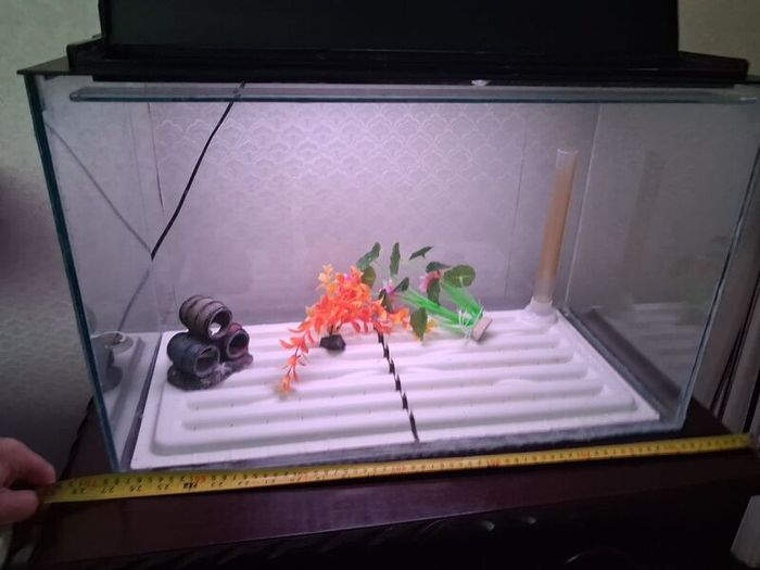 Fish Tank and Cabinet
