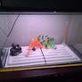 Fish Tank and Cabinet Image 2
