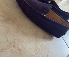 mens Tod's