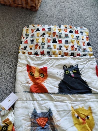 Toddler sleeping bag, bed in a bag