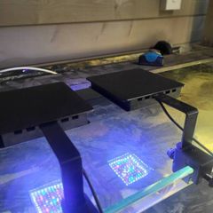 fluval marine light