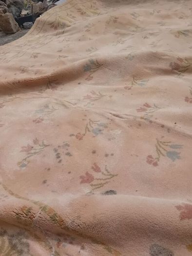 Large Floor Rug Needs Serious Cleaning