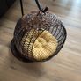 pet hanging chair Image 3