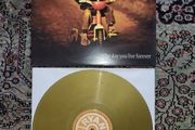 Ryan Sheridan: The Day You Live Forever LP Limited Edition