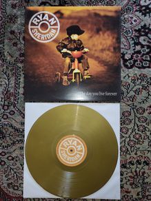 Ryan Sheridan: The Day You Live Forever LP Limited Edition