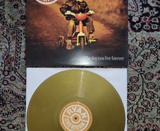 Ryan Sheridan: The Day You Live Forever LP Limited Edition