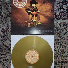 Ryan Sheridan: The Day You Live Forever LP Limited Edition