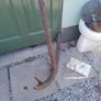 18ct boat anchor Image 7