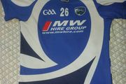Laois Gaa jersey