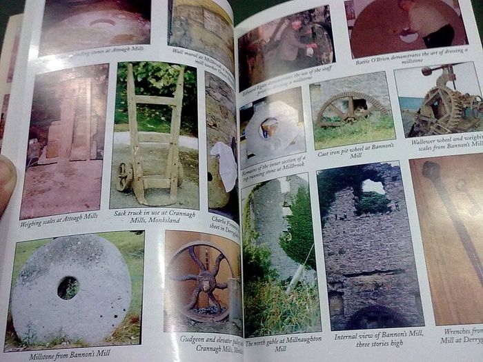 Milling on the Crannagh Cross River Roscommon Ireland Irish Local history