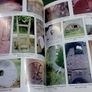 Milling on the Crannagh Cross River Roscommon Ireland Irish Local history Image 4