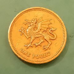 1995 UK one pound coin