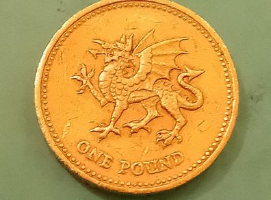 1995 UK one pound coin